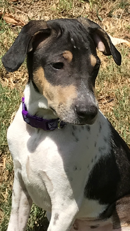 Gemma. (Formerly Nova)