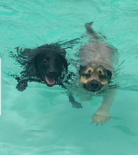 Odin and Jager