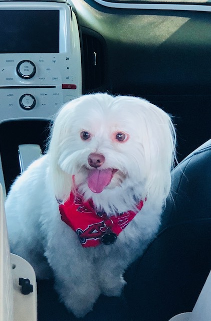 Sir Charles
