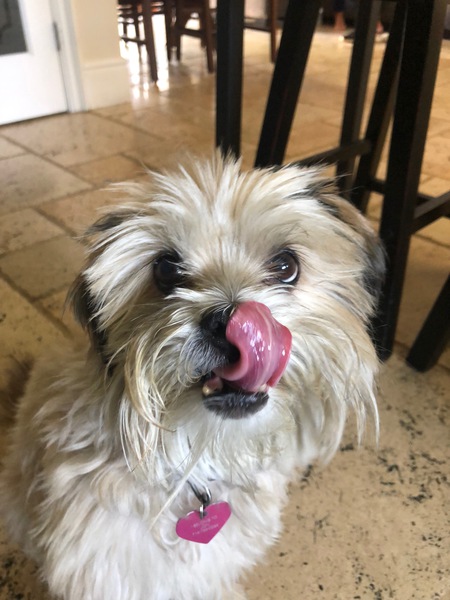 Sammy