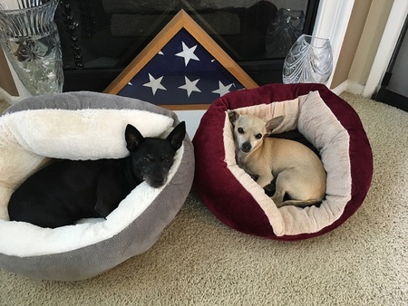 MaryandFrankie