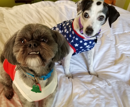 Gucci & Bessie