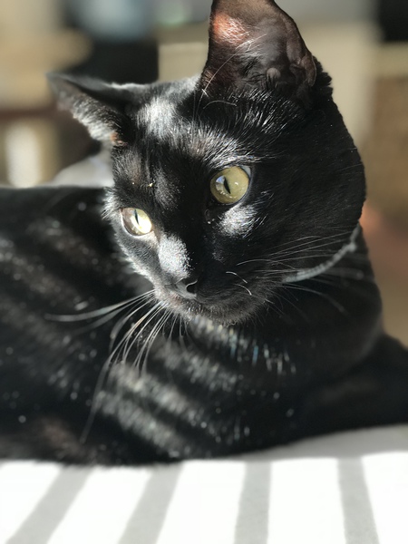 George