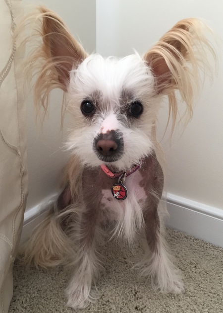 Zoey 