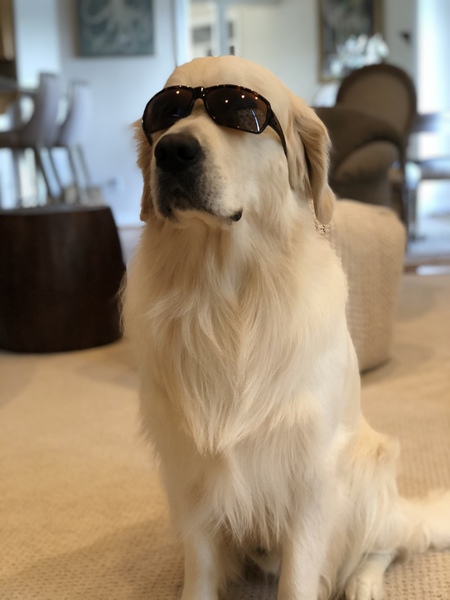 Bradley “Cooper”