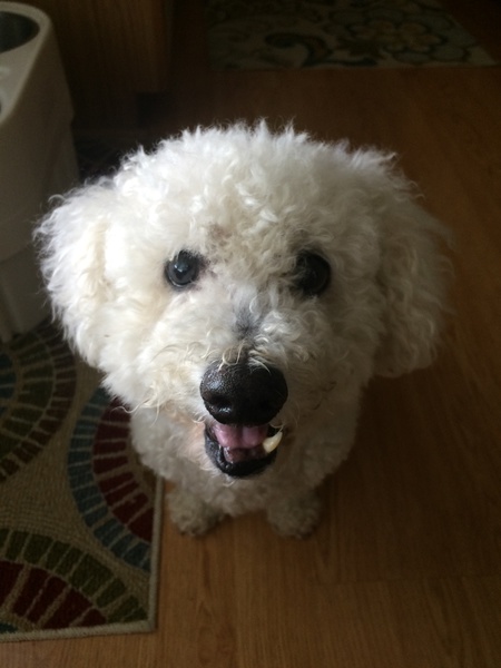 Stanley