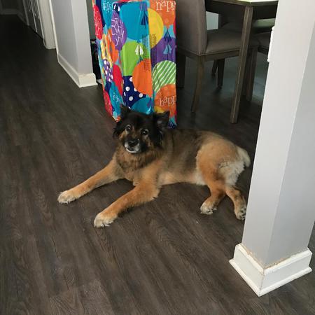 Tyson
