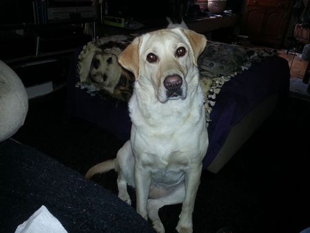 Lucy