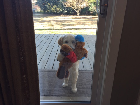 Woody