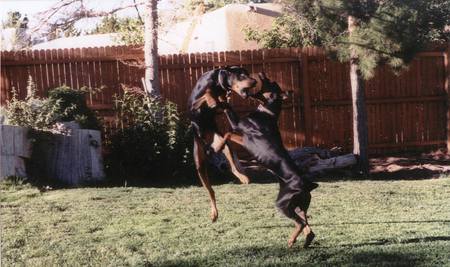 Winston & Lisa