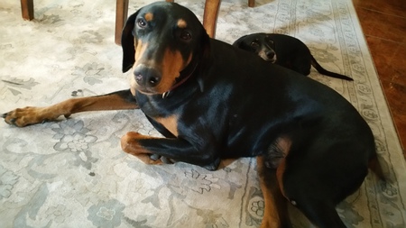Jack