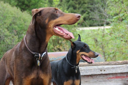 Clay & Lex