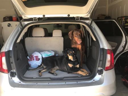 Lola and Dobbie