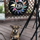 Entry image for Shelly
