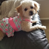 Entry image for Daisy