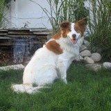 Entry image for Maggie Mae