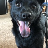 Entry image for Benny