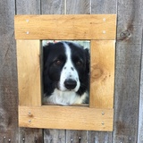 Entry image for Seamus