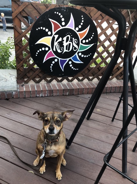 Entry image for Shelly. Clicking this image will show a larger photo