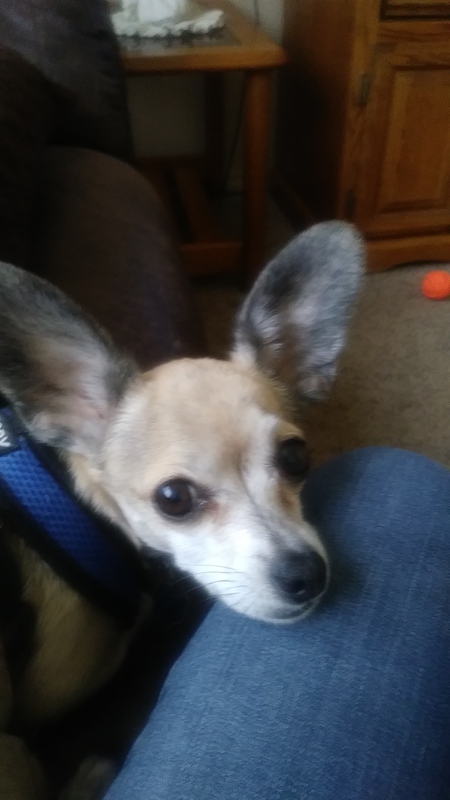 Entry image for Nevaeh. Clicking this image will show a larger photo