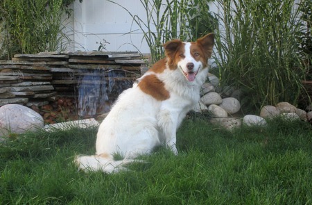 Entry image for Maggie Mae. Clicking this image will show a larger photo