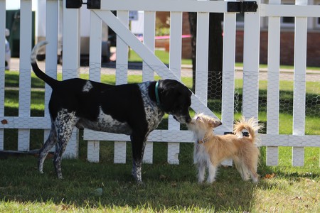 Remy and Astrid