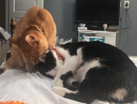 Kiki and Jack