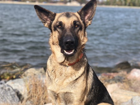 Stryker