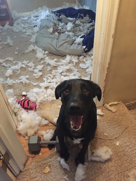 Murphy