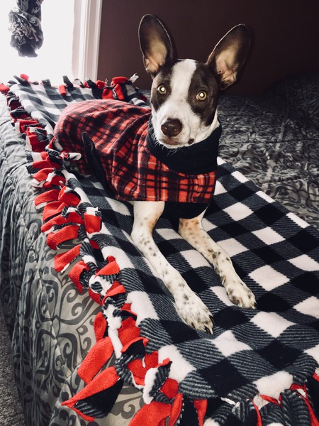 Chico