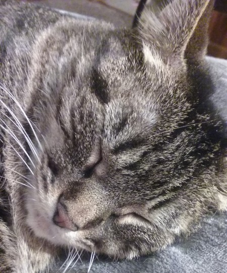 Murphy