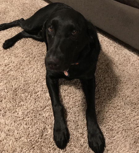 Casey