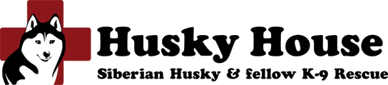Logo for Raise a Glass for Husky House Wine Label Contest