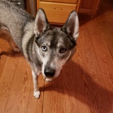 Entry image for Loki