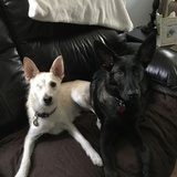 Entry image for Birdie & Willie