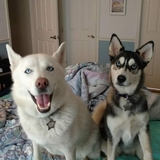 Entry image for Bianca and Fiona