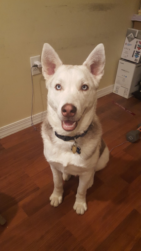 Entry image for Zeus. Clicking this image will show a larger photo