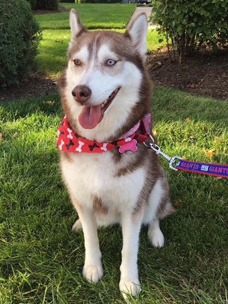 Entry image for Meeka . Clicking this image will show a larger photo