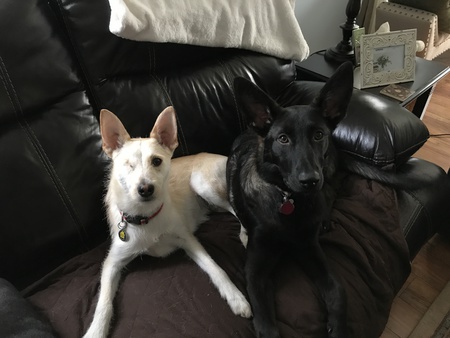 Entry image for Birdie & Willie. Clicking this image will show a larger photo