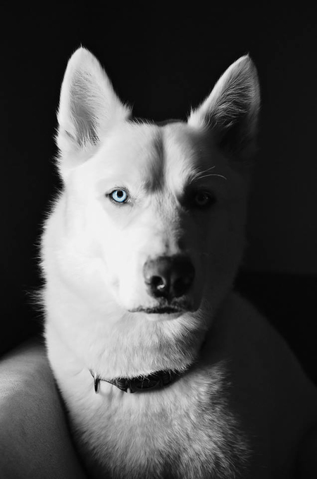 Entry image for Sky. Clicking this image will show a larger photo