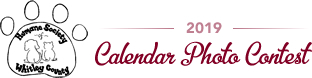 Logo for 2019 Calendar Photo Contest