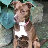 Entry image for Lucy 