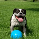 Entry image for Gunny