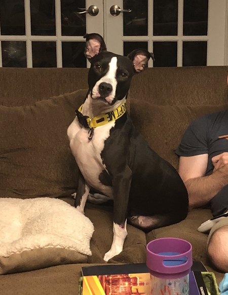 Oscar