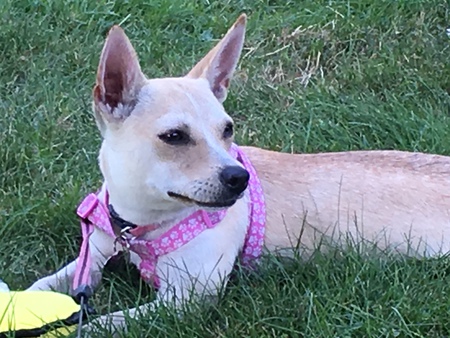Daisy (formally Melanie)