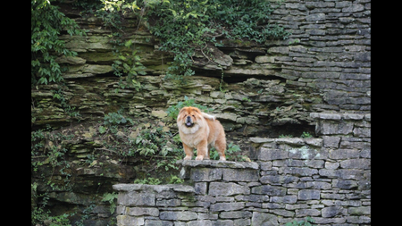 Queen of the mountain