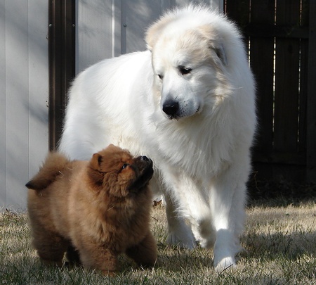 Gabby and Flynn