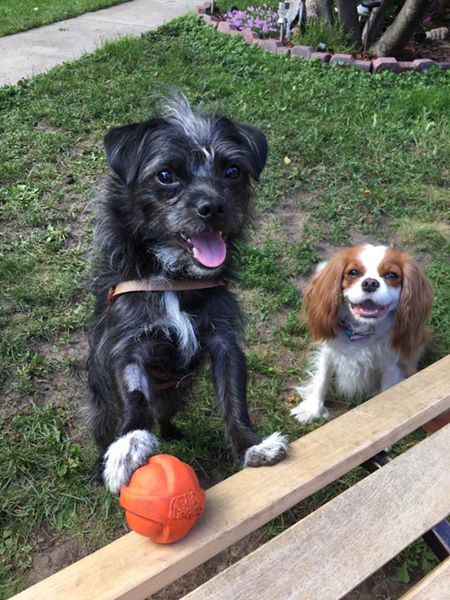 Oliver & Maddie