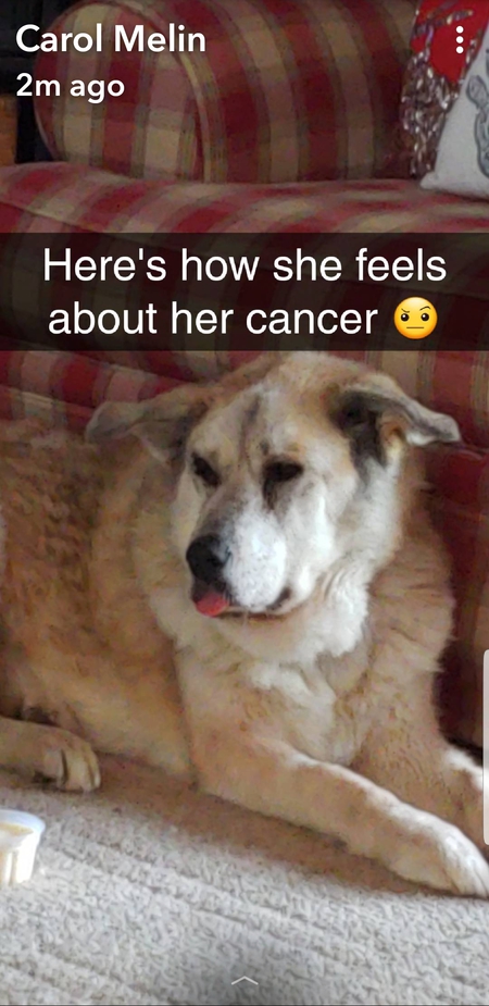 SIERRA