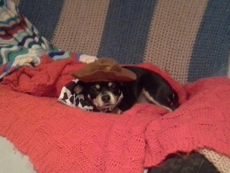 willie